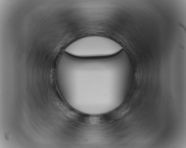 X0000101660462200807101029