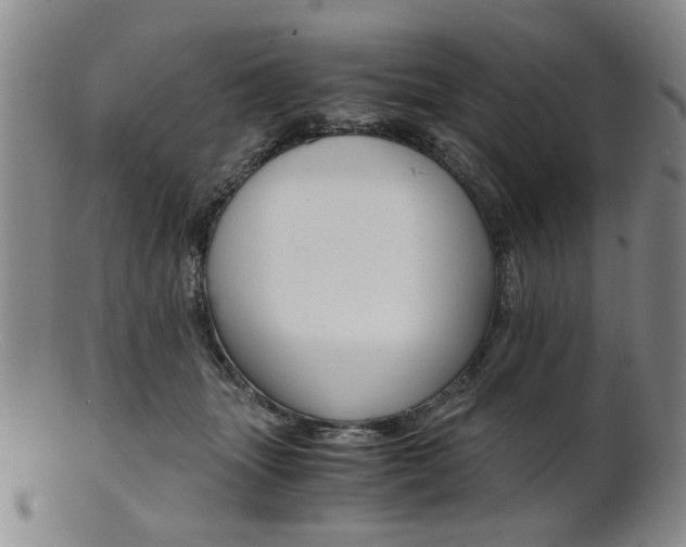 X0000101660463200807101029