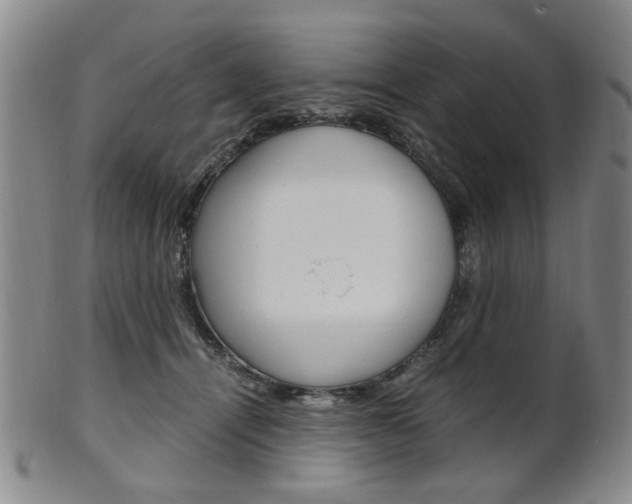 X0000101660464200807101029