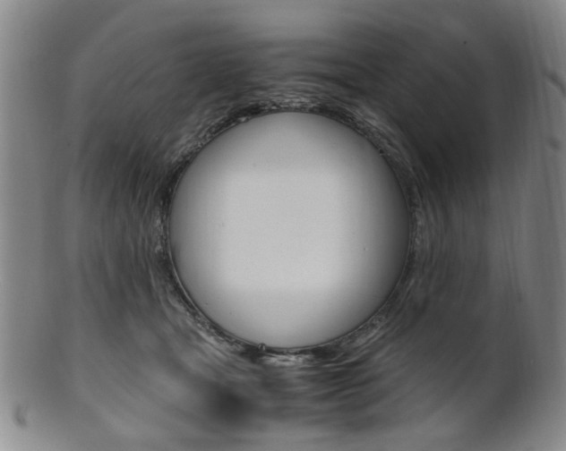 X0000101660465200807101029
