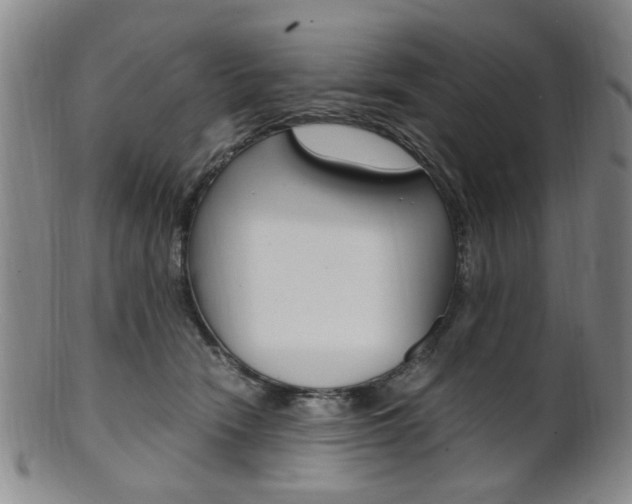 X0000101660466200807101029