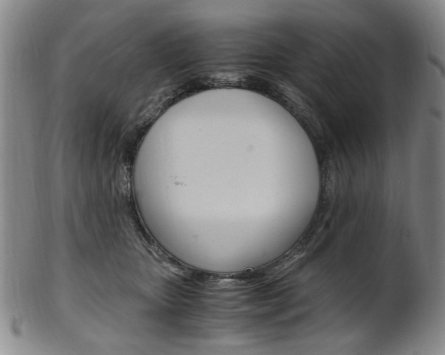 X0000101660467200807101029