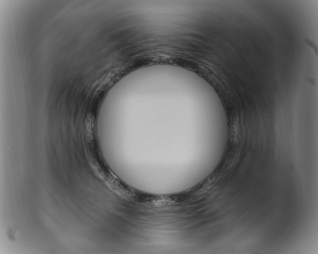 X0000101660468200807101029