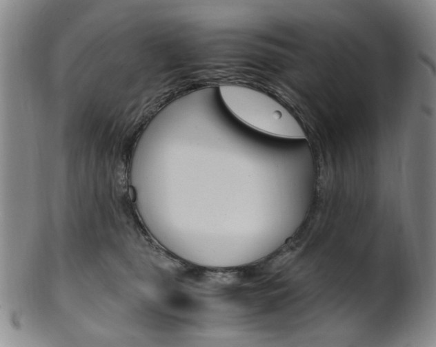 X0000101660469200807101029