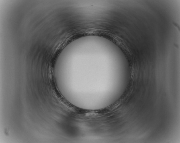 X0000101660470200807101029