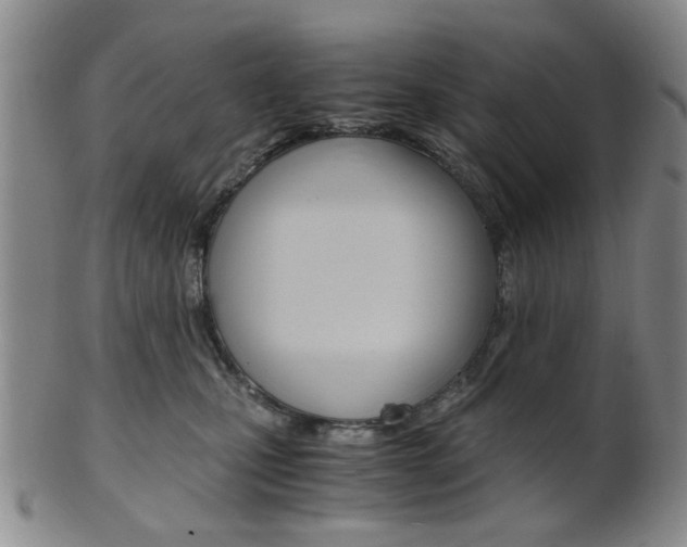 X0000101660471200807101029