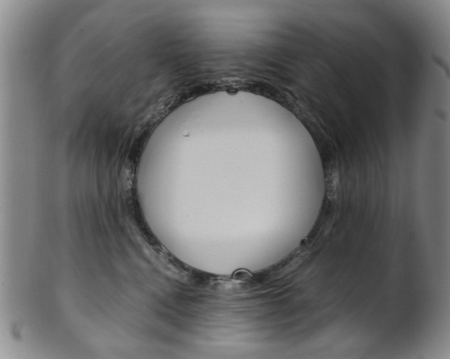 X0000101660472200807101029