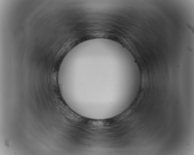 X0000101660473200807101029