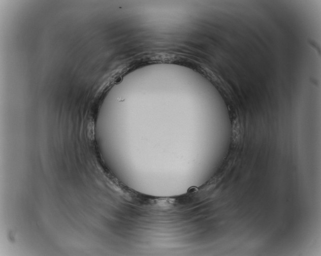 X0000101660474200807101029