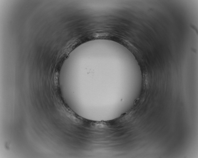 X0000101660475200807101029