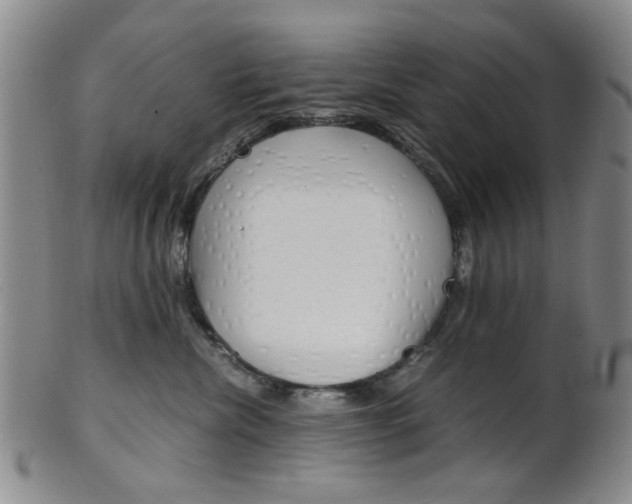 X0000101660476200807101029