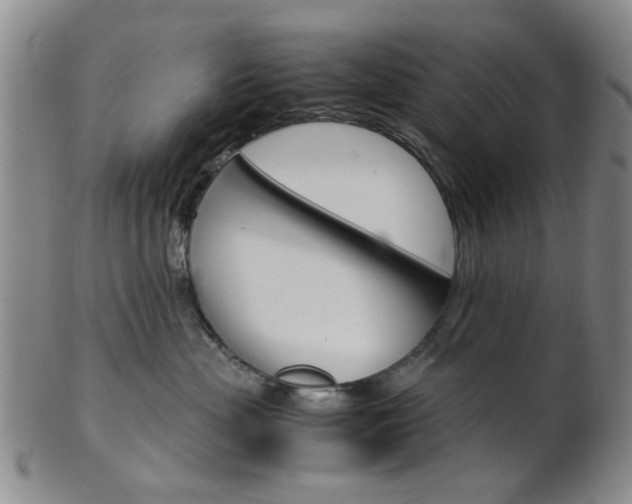 X0000101660477200807101029