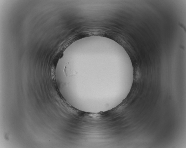 X0000101660478200807101029