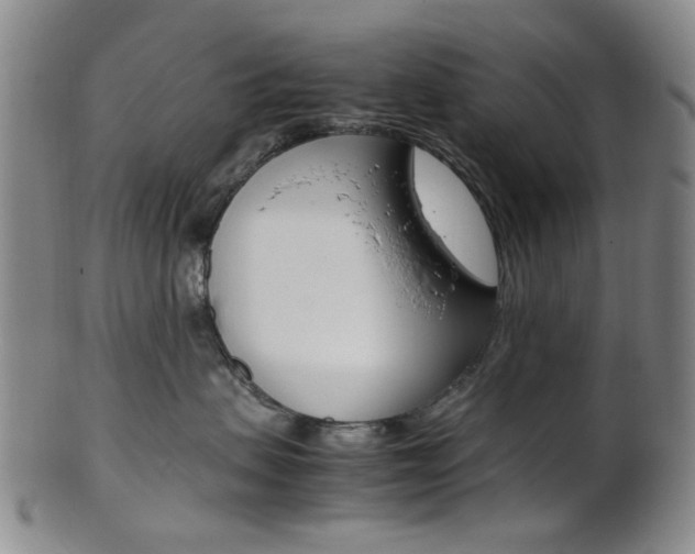X0000101660479200807101029