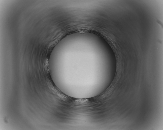 X0000101660480200807101029