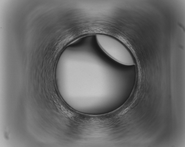 X0000101660481200807101029