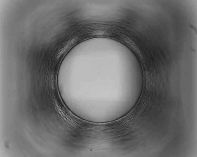 X0000101660482200807101028