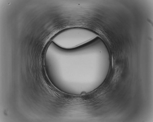 X0000101660483200807101028
