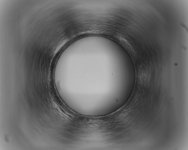X0000101660484200807101028