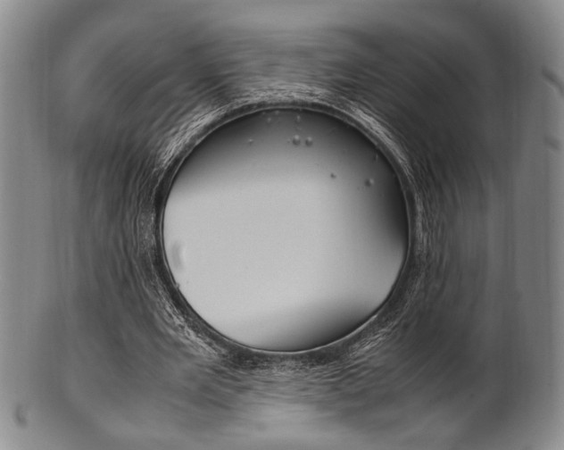 X0000101660485200807101028