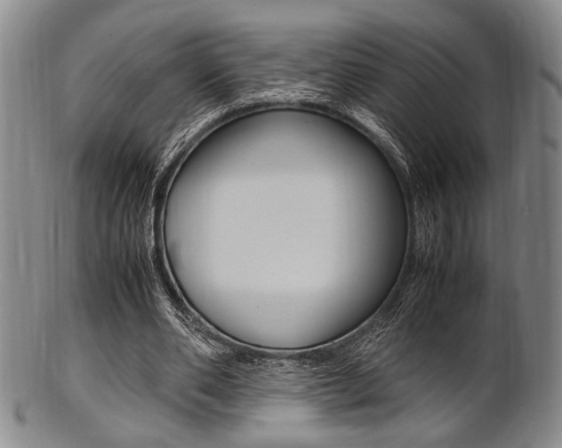 X0000101660486200807101028