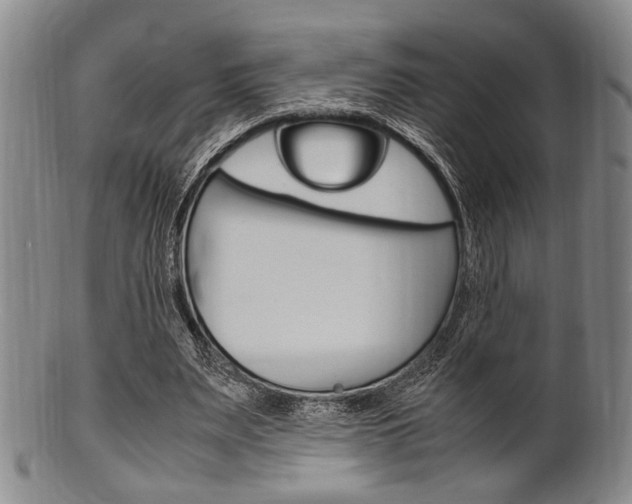 X0000101660487200807101028