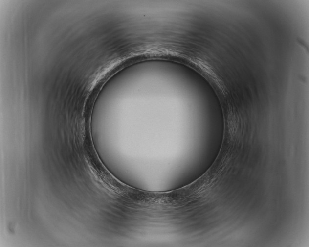 X0000101660488200807101028