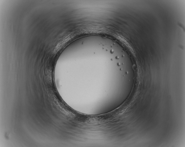 X0000101660489200807101028