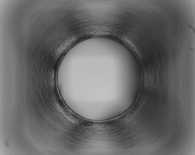 X0000101660490200807101028