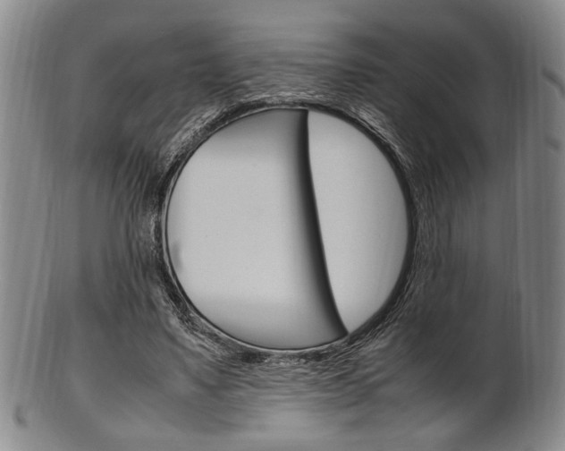 X0000101660491200807101028