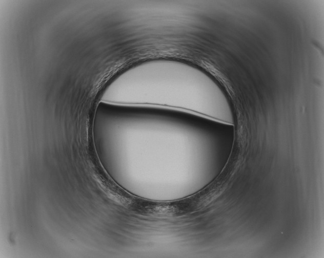 X0000101660493200807101028