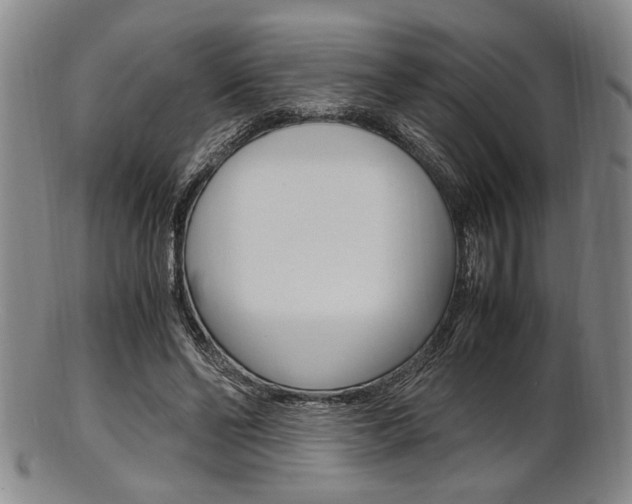 X0000101660494200807101028