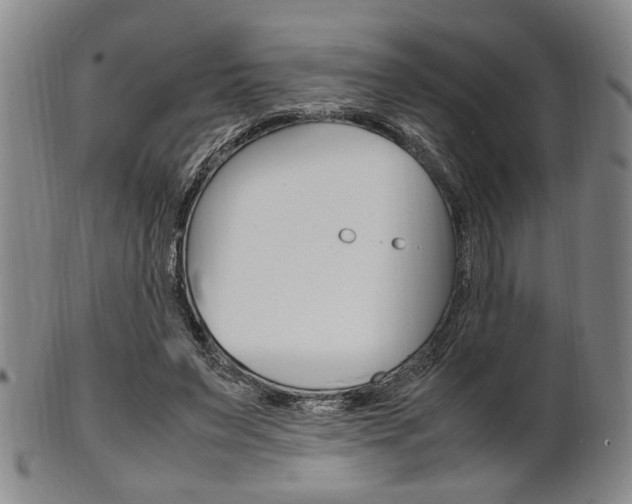 X0000101660495200807101028