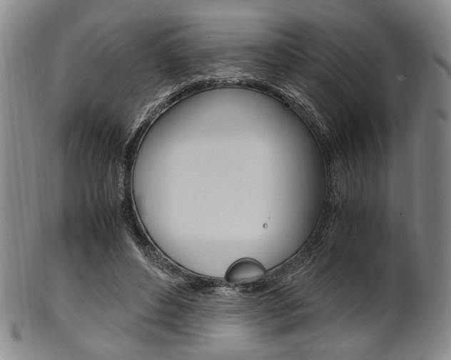 X0000101660496200807101028