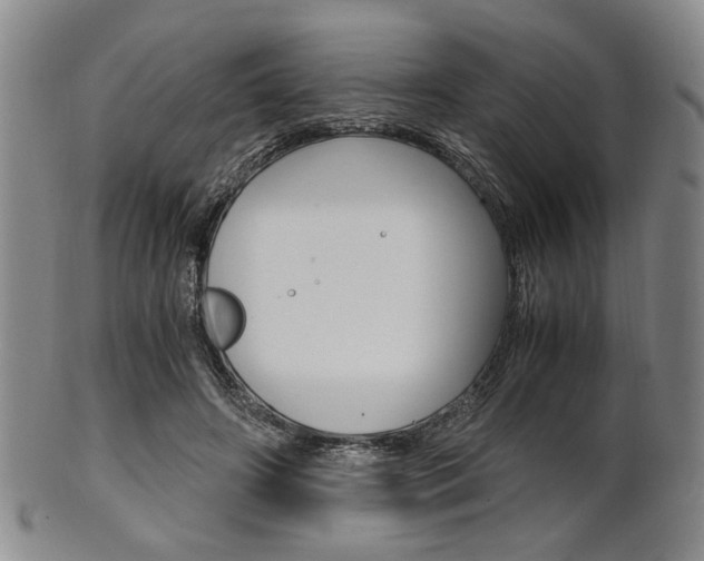 X0000101660498200807101028