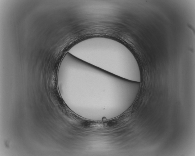 X0000101660499200807101028