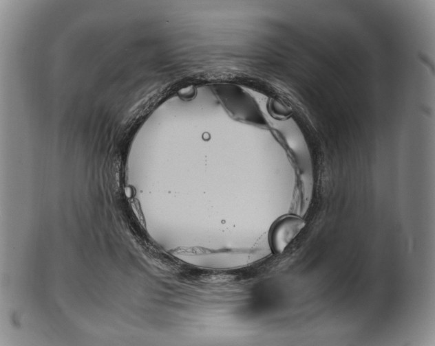 X0000101660501200807101028