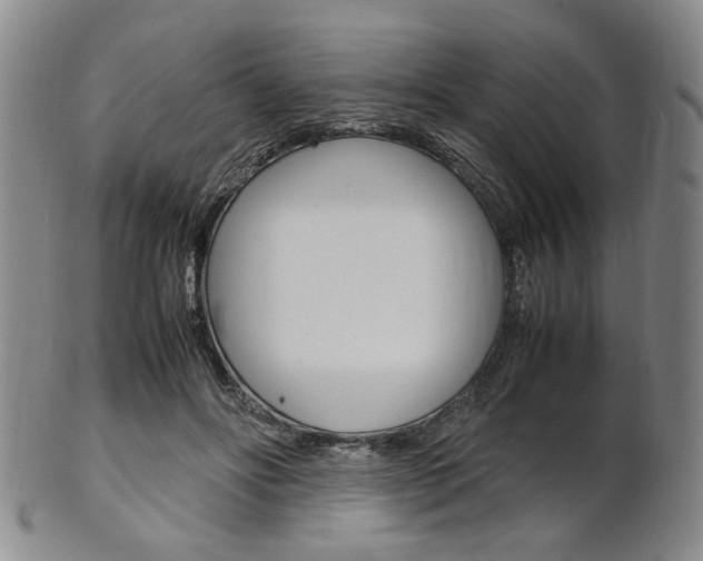 X0000101660502200807101028