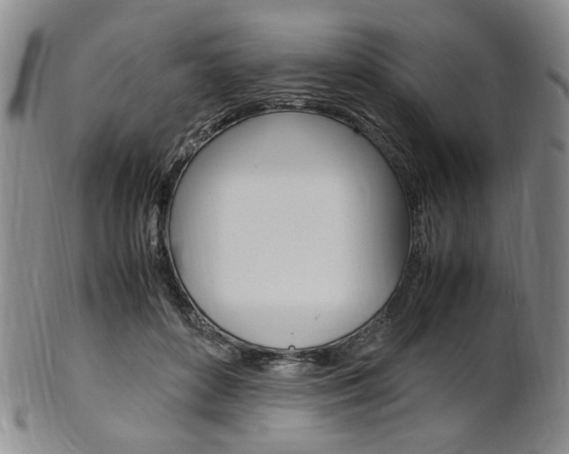 X0000101660504200807101028