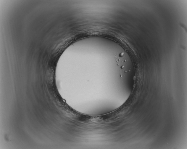 X0000101660505200807101028