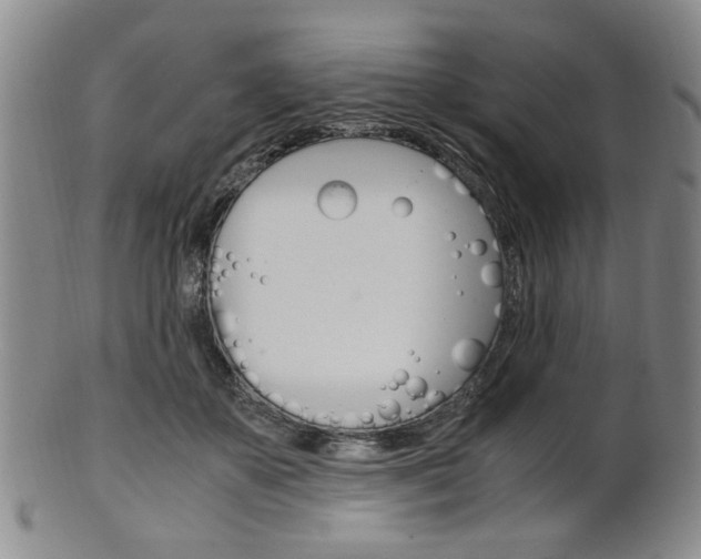 X0000101660507200807101028