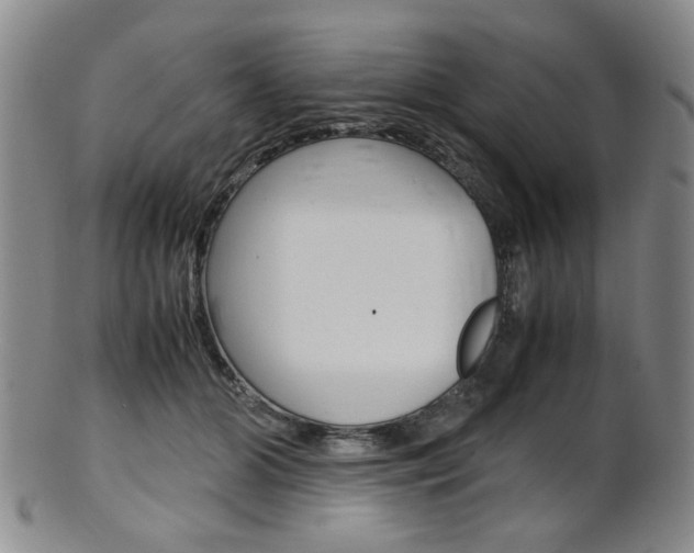X0000101660510200807101028