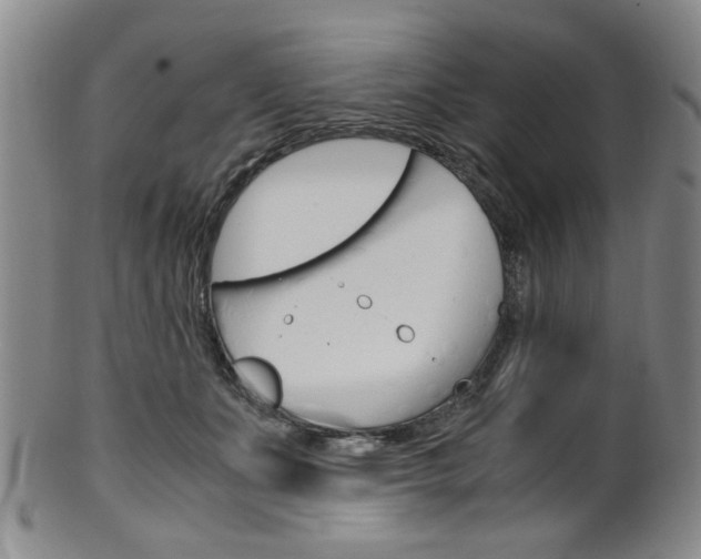 X0000101660511200807101028