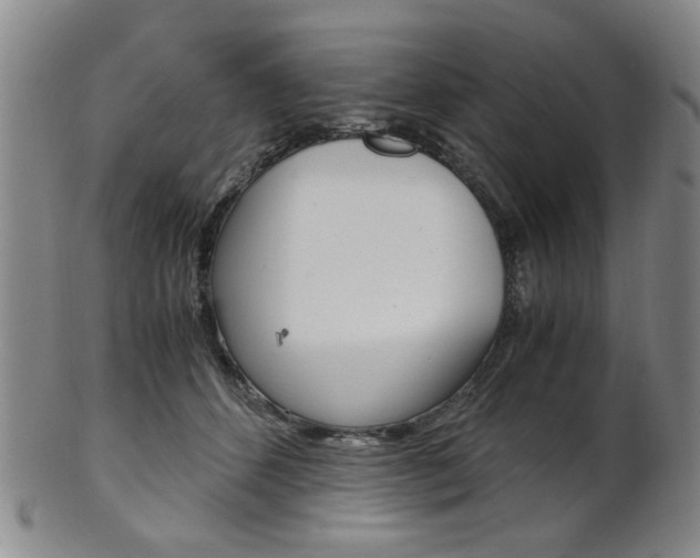 X0000101660512200807101028