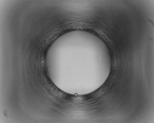 X0000101660513200807101028