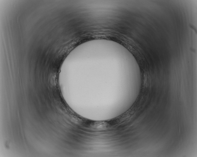 X0000101660514200807101028