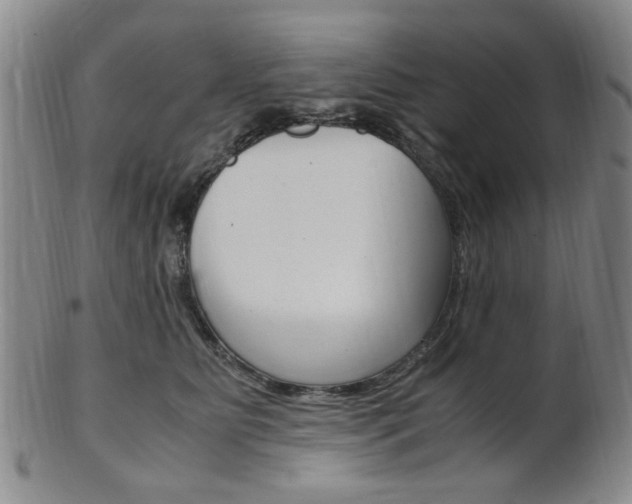 X0000101660515200807101028