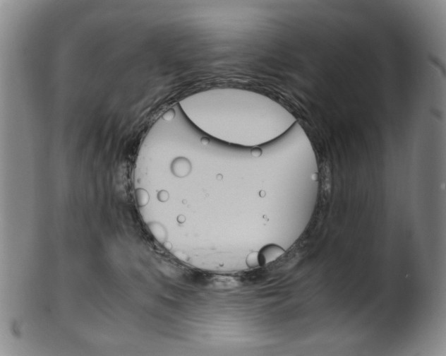 X0000101660519200807101028