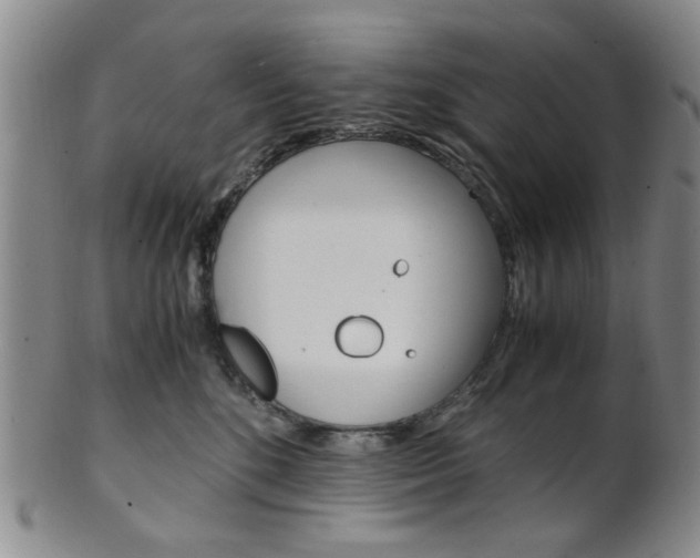 X0000101660520200807101028