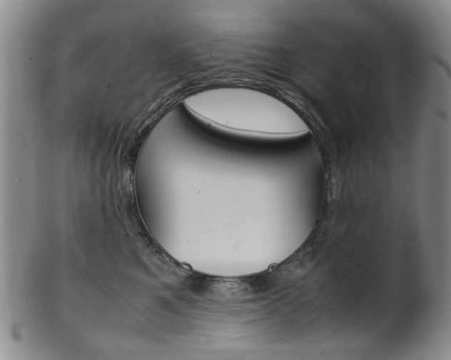 X0000101660521200807101028